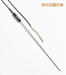 濱州高性能金屬桿標準鉑電阻溫度計