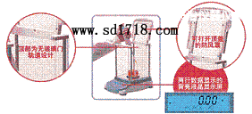 �L(zh��ng)�����M(j��n)����ƽ,310g,0.001g