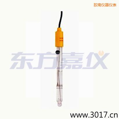 膠南可填充玻璃管電極