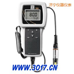 濟寧便攜式溶解氧測量儀