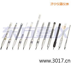 濟(jì)寧離子選擇性電極