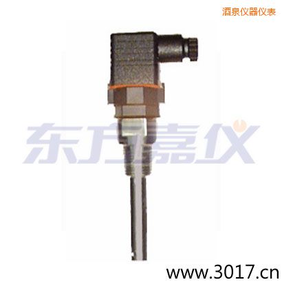 酒泉含有溫度的兩線電導率電極