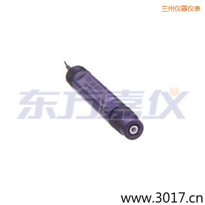 蘭州PPS外殼,鉑金針平面ORP電極