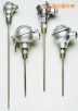 帶保護頭的工業(yè)熱電偶