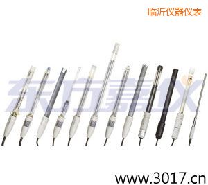 臨沂pH電極