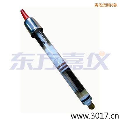 青島玻璃外殼,無(wú)溫補(bǔ)雙鹽橋電極