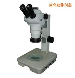 ���u�r���wҕ�@΢�R