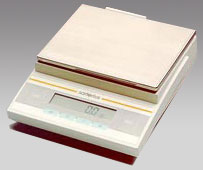 �c������ƽ,3100g,0.1g