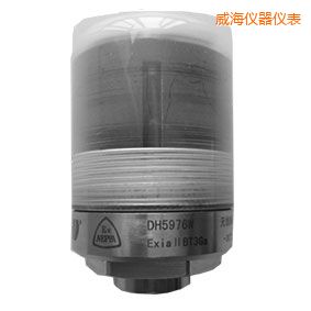 威海無(wú)線軸承狀態(tài)監(jiān)測(cè)器