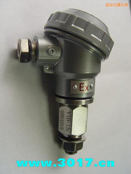 延安振動信號變送器