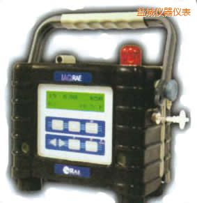 鹽城復(fù)合氣體檢測(cè)儀