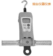 煙臺高荷重型 FGC-HB/FGN-HB 系列數(shù)顯推拉力計