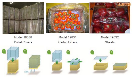 ��ϪPrimePro EAP ��ϩ�������b [EAP]