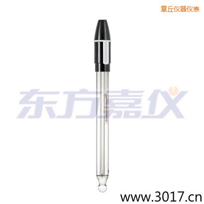 章丘玻璃外殼可填充雙鹽橋復(fù)合電極